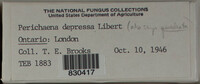 Image Associated With the Occurence